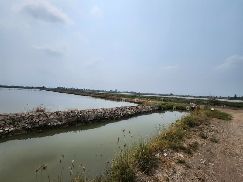 ที่ดินกำแพงแสน นครปฐม, นครปฐม, กระตีบ, กำแพงแสน, นครปฐม, 14,792 ตร.ม., ที่ดิน ขาย, โดย The Best Property เค้ก, 500406342 - DDproperty.com