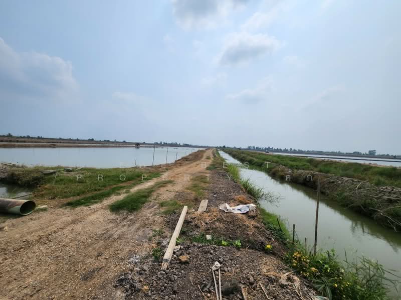 ที่ดินกำแพงแสน นครปฐม, นครปฐม, กระตีบ, กำแพงแสน, นครปฐม, 14,792 ตร.ม., ที่ดิน ขาย, โดย The Best Property เค้ก, 500406342 - DDproperty.com