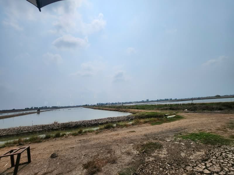 ที่ดินกำแพงแสน นครปฐม, Nakhon Pathom, Kra Tip, Kamphaeng Saen, Nakhon Pathom, , 14,792 sqm, Land For Sale, by The Best Property เค้ก, 500406342 - DDproperty.com