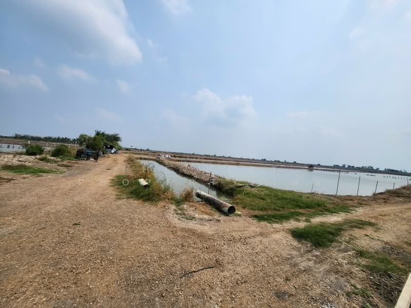 ที่ดินกำแพงแสน นครปฐม, นครปฐม, กระตีบ, กำแพงแสน, นครปฐม, 14,792 ตร.ม., ที่ดิน ขาย, โดย The Best Property เค้ก, 500406342 - DDproperty.com