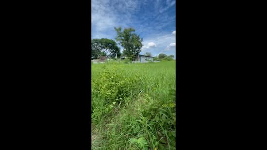 L128 5 Rai Prime Development Land for Sale | Near Lanna International School | Hang Dong Chiang Mai, Chiang Mai, San Phak Wan, Hang Dong, Chiang Mai, , 8,000 sqm, Land For Sale, by Runchana Ball, 500406343 - DDproperty.com