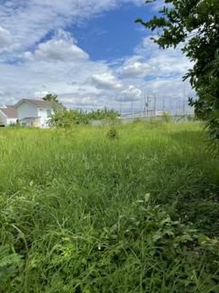 L128 5 Rai Prime Development Land for Sale | Near Lanna International School | Hang Dong Chiang Mai, Chiang Mai, San Phak Wan, Hang Dong, Chiang Mai, , 8,000 sqm, Land For Sale, by Runchana Ball, 500406343 - DDproperty.com