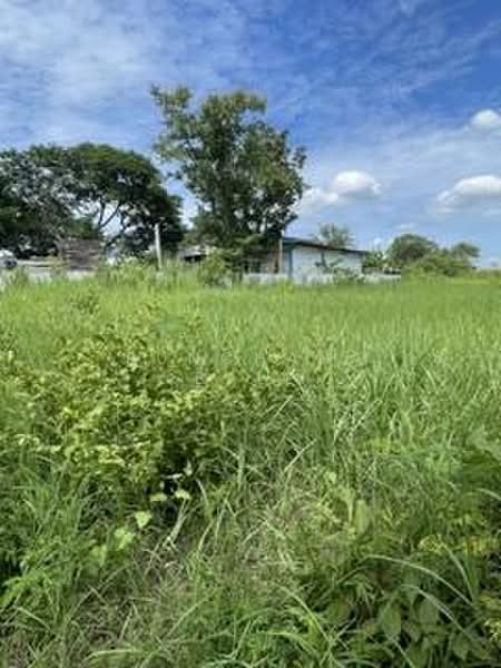 L128 5 Rai Prime Development Land for Sale | Near Lanna International School | Hang Dong Chiang Mai, Chiang Mai, San Phak Wan, Hang Dong, Chiang Mai, , 8,000 sqm, Land For Sale, by Runchana Ball, 500406343 - DDproperty.com