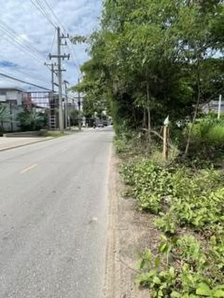 L128 5 Rai Prime Development Land for Sale | Near Lanna International School | Hang Dong Chiang Mai, Chiang Mai, San Phak Wan, Hang Dong, Chiang Mai, , 8,000 sqm, Land For Sale, by Runchana Ball, 500406343 - DDproperty.com