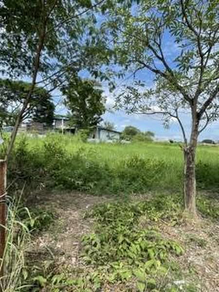 L128 5 Rai Prime Development Land for Sale | Near Lanna International School | Hang Dong Chiang Mai, Chiang Mai, San Phak Wan, Hang Dong, Chiang Mai, , 8,000 sqm, Land For Sale, by Runchana Ball, 500406343 - DDproperty.com