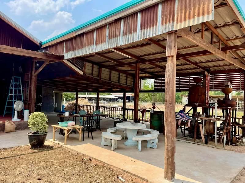 ขาย! พรรณ์ทิพย์ คาเฟ่ พร้อมบ้านพักอาศัย เนื้อที่กว่า 3 ไร่ อ.เขวาสินรินทร์ จ.สุรินทร์, Surin, Ban Rae, Kwao Si Narin, Surin, , 5,416 sqm, Land For Sale, by ชญาพิชชา พันธกิจ, 500406358 - DDproperty.com