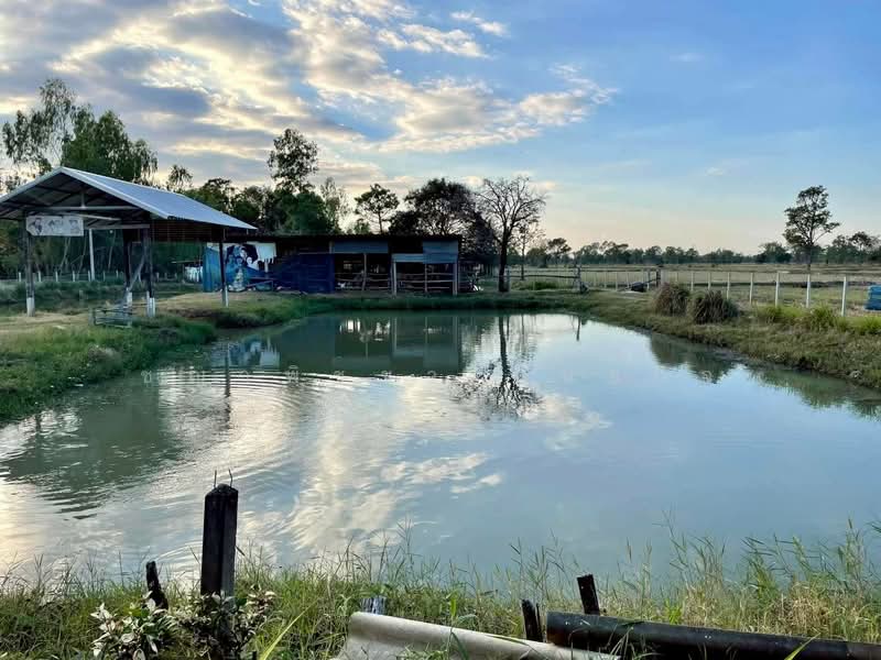 ขาย! พรรณ์ทิพย์ คาเฟ่ พร้อมบ้านพักอาศัย เนื้อที่กว่า 3 ไร่ อ.เขวาสินรินทร์ จ.สุรินทร์, สุรินทร์, บ้านแร่, เขวาสินรินทร์, สุรินทร์, 5,416 ตร.ม., ที่ดิน ขาย, โดย ชญาพิชชา พันธกิจ, 500406358 - DDproperty.com