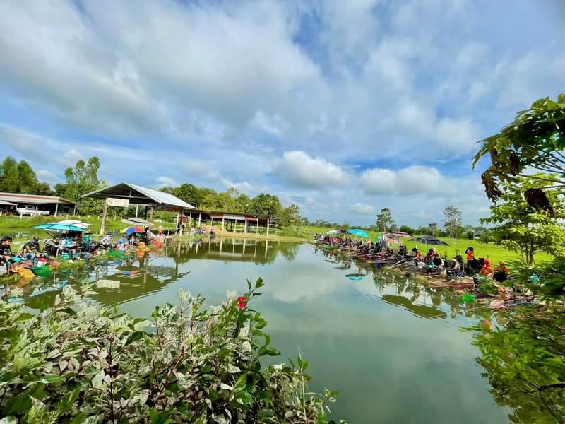 ขาย! พรรณ์ทิพย์ คาเฟ่ พร้อมบ้านพักอาศัย เนื้อที่กว่า 3 ไร่ อ.เขวาสินรินทร์ จ.สุรินทร์, Surin, Ban Rae, Kwao Si Narin, Surin, , 5,416 sqm, Land For Sale, by ชญาพิชชา พันธกิจ, 500406358 - DDproperty.com