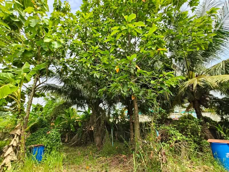 ที่ดินพร้อมสิ่งปลูกสร้างพนัสนิคม ชลบุรี, Chon Buri (Pattaya), Thung Khwang, Phanat Nikhom, Chon Buri (Pattaya), , 2,264 sqm, Land For Sale, by The Best Property ยุ, 500406445 - DDproperty.com
