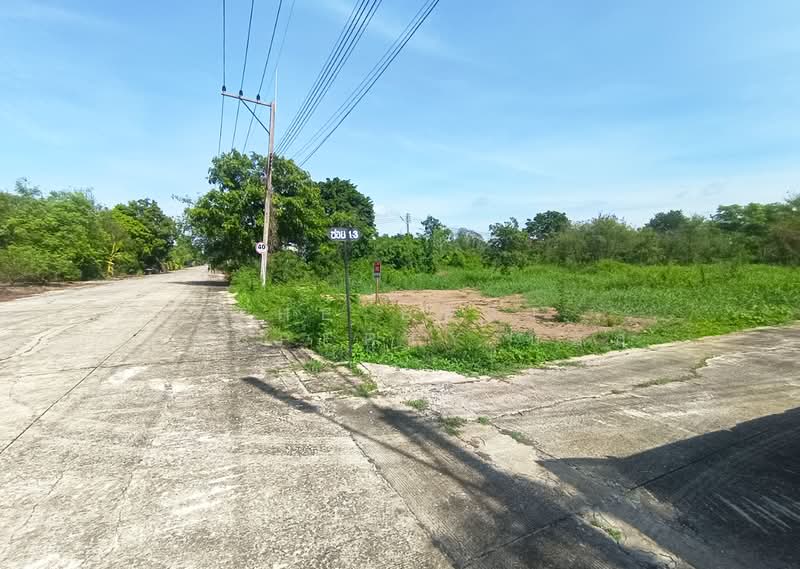 หมู่บ้านเสนาสุข คลอง 13, Pathum Thani, Nong Sam Wang, Nong Sua, Pathum Thani, , 272 sqm, Land For Sale, by The Best Property บอล, 500406486 - DDproperty.com
