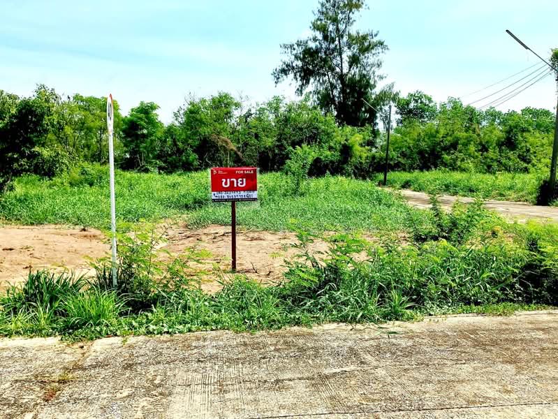 หมู่บ้านเสนาสุข คลอง 13, Pathum Thani, Nong Sam Wang, Nong Sua, Pathum Thani, , 272 sqm, Land For Sale, by The Best Property บอล, 500406486 - DDproperty.com