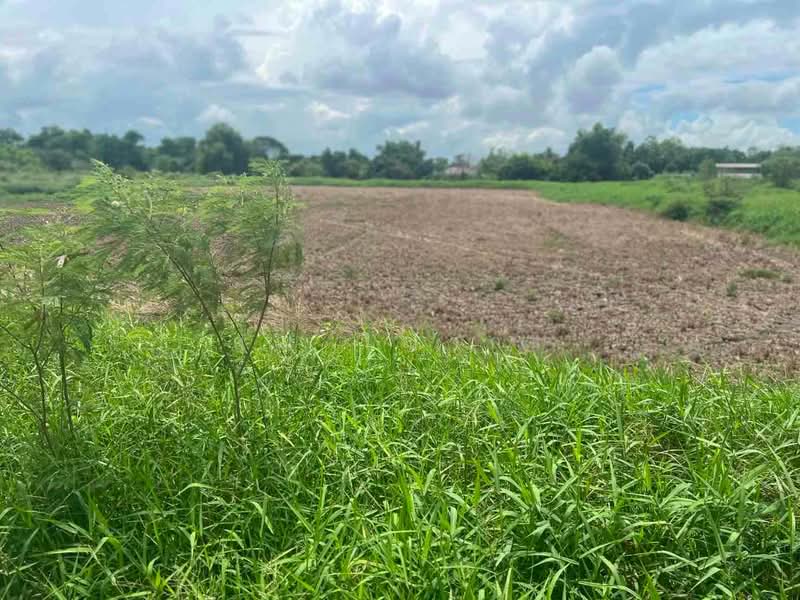 ขายที่ดินเปล่า 4 ไร่ คลองสิบ ลำลูกกา ปทุมธานี, Pathum Thani, Bung Thong Lang, Lam Luk Ka, Pathum Thani, , 6,400 sqm, Land For Sale, by คุณ วิญากร, 500406497 - DDproperty.com