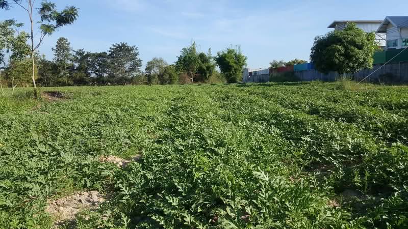ที่ดินเมืองมุกดาหาร มุกดาหาร, Mukdahan, Mukdahan, Muang Muddahan, Mukdahan, , 8,284 sqm, Land For Sale, by The Best Property เก๋, 500406507 - DDproperty.com