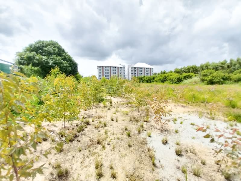 ที่ดินเปล่าใกล้อ่างเก็บน้ำบางพระ, Chon Buri (Pattaya), Bang Phra, Si Racha, Chon Buri (Pattaya), , 4,300 sqm, Land For Sale, by HOMEPLUS REALTY - คุณนิล, 500406582 - DDproperty.com