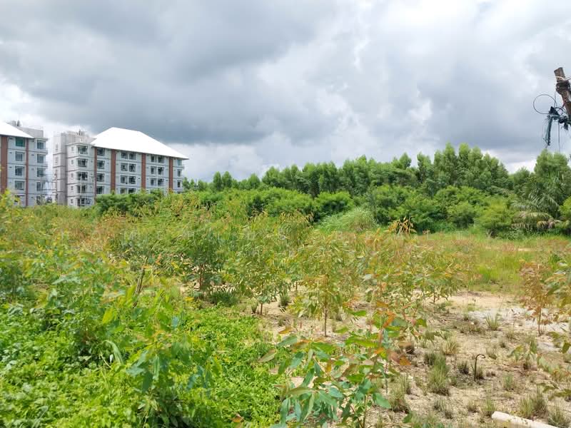 ที่ดินเปล่าใกล้อ่างเก็บน้ำบางพระ, Chon Buri (Pattaya), Bang Phra, Si Racha, Chon Buri (Pattaya), , 4,300 sqm, Land For Sale, by HOMEPLUS REALTY - คุณนิล, 500406582 - DDproperty.com