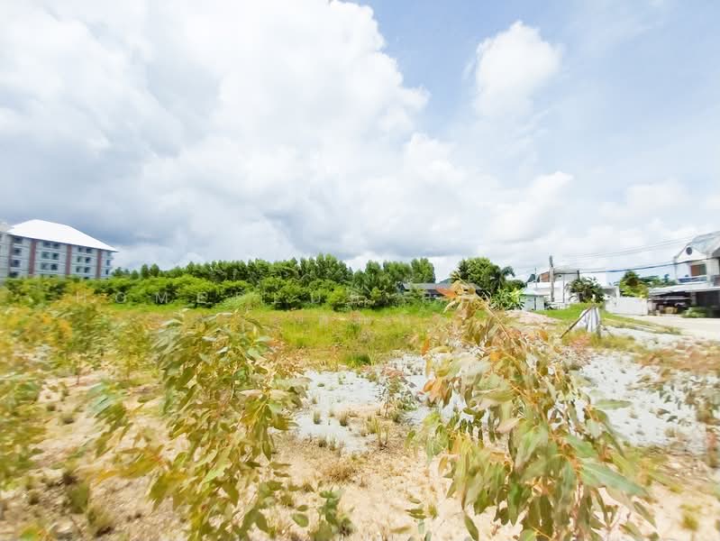 ที่ดินเปล่าใกล้อ่างเก็บน้ำบางพระ, Chon Buri (Pattaya), Bang Phra, Si Racha, Chon Buri (Pattaya), , 4,300 sqm, Land For Sale, by HOMEPLUS REALTY - คุณนิล, 500406582 - DDproperty.com