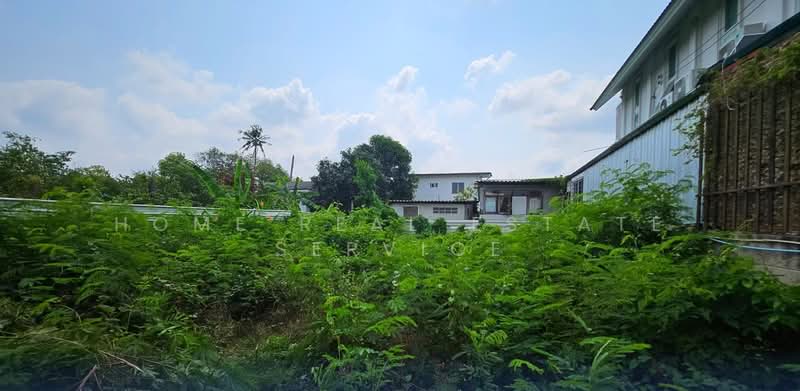 ที่ดิน 159 ตร.ว. ซอยปุณณวิถี 52, Bangkok, Bang Chak, Phra Khanong, Bangkok, , 636 sqm, Land For Sale, by HOME Real Estate Service, 500406688 - DDproperty.com