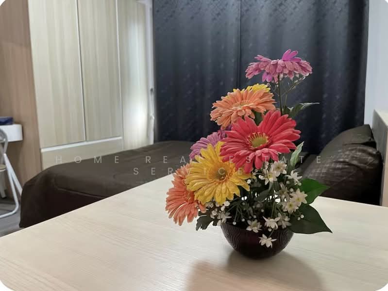 Elio Del Ray, Bangkok, 95 Sukhumvit 64 Road, Bang Chak, Phra Khanong, Bangkok, 1 Bedroom, 26 sqm, Condo For Sale, by HOME Real Estate Service, 500406717 - DDproperty.com