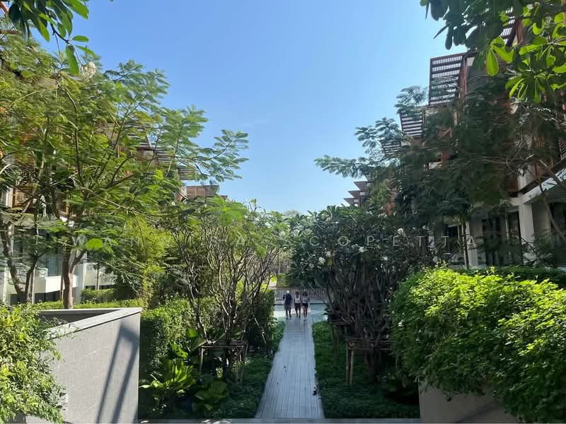 InterContinental Residences Hua Hin, Prachuap Khiri Khan, Hua Hin 71 Alley, Hua Hin, Prachuap Khiri Khan, 1 Bedroom, 31 sqm, Condo For Rent, by Wanwisa Scopetta, 500406741 - DDproperty.com