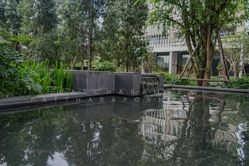 Park Origin Phrom Phong (Park 24) : พาร์ค ออริจิ้น พร้อมพงษ์ (พาร์ค 24), กรุงเทพ, 68 ซอยสุขุมวิท 24, คลองตัน, คลองเตย, กรุงเทพ, 55 ตร.ม., คอนโด ให้เช่า, โดย Patcharames Pattharapornviboon, 500406786 - DDproperty.com