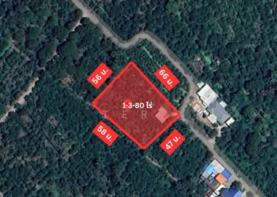 ขาย - ที่ดินสวน 1-3-80 ไร่ บางสะแก บางคนที สมุทรสงคราม, สมุทรสงคราม