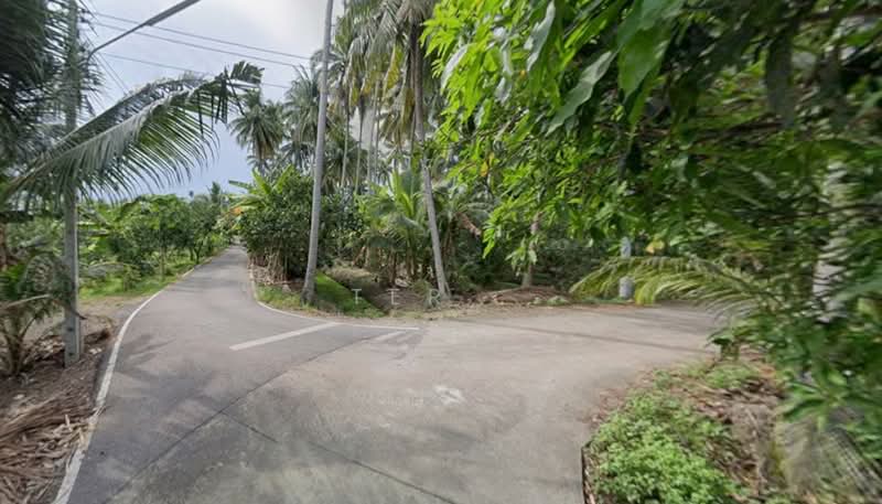 ที่ดินสวน 1-3-80 ไร่ บางสะแก บางคนที สมุทรสงคราม, Samut Songkhram, Bang Sakae, Bang Khon Ti, Samut Songkhram, , 3,122 sqm, Land For Sale, by Ter ., 500406801 - DDproperty.com