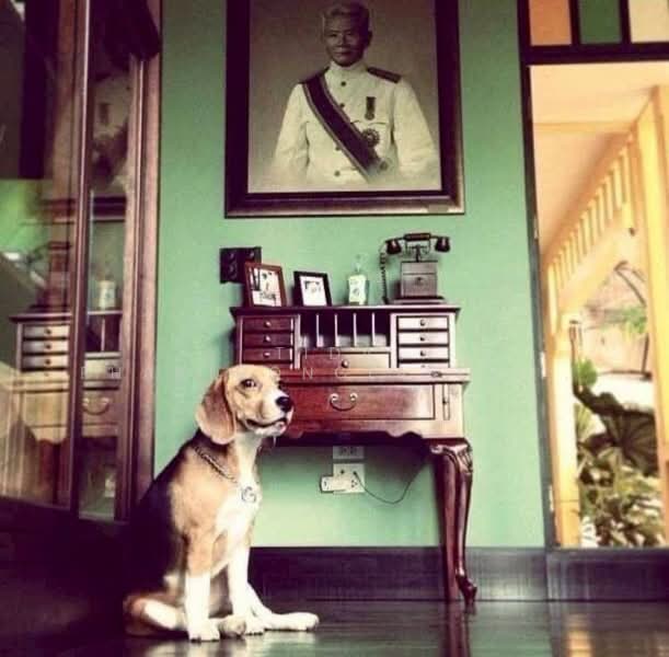 ขาย โรงแรม สาทร (Sathorn) 161.8 ตร.ว. 597.02 ตร.ม., กรุงเทพ, ยานนาวา, สาทร, กรุงเทพ, 597 ตร.ม., กิจการ ขาย, โดย Tida phanthonglarptawee, 500407033 - DDproperty.com