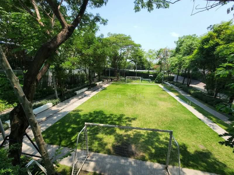 IDEO O2 บางนา, กรุงเทพ, 195 ถนนสรรพาวุธ, บางนาใต้, บางนา, กรุงเทพ, 30 ตร.ม., คอนโด ให้เช่า, โดย Chanon Phangchienghien, 500407046 - DDproperty.com