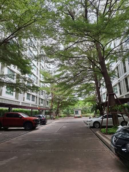 The Room Sukhumvit 79, Bangkok, 99 Sukhumvit Road 79, Phra Kanong Nua, Watthana, Bangkok, 2 Bedrooms, 59 sqm, Condo For Rent, by Anyaporn Srikanlayanabut, 500407142 - DDproperty.com
