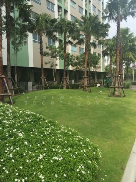 Lumpini Place Srinakarin-Huamak Station, Bangkok, Srinakarin Road, Suan Luang, Bangkok, 1 Bedroom, 34 sqm, Condo For Rent, by Praewpakar Soontawong, 500407225 - DDproperty.com