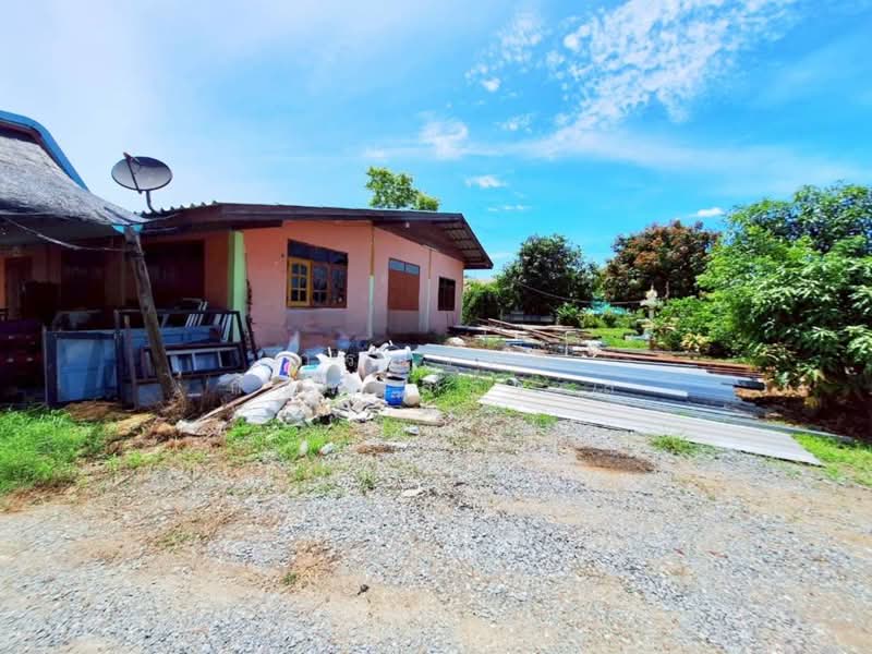 ขาย บ้านเดี่ยว 2 ไร่ 38 ตร.ว ไทรใหญ่, Nonthaburi, Sai Yai, Sai Noi, Nonthaburi, 3 Bedrooms, 1,000 sqm, Single Detached House For Sale, by กรณวัสส์ กัณฑวัสส์วงส์, 500407286 - DDproperty.com
