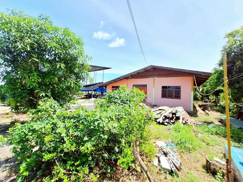 ขาย บ้านเดี่ยว 2 ไร่ 38 ตร.ว ไทรใหญ่, นนทบุรี, ไทรใหญ่, ไทรน้อย, นนทบุรี, 1,000 ตร.ม., บ้านเดี่ยว ขาย, โดย กรณวัสส์ กัณฑวัสส์วงส์, 500407286 - DDproperty.com