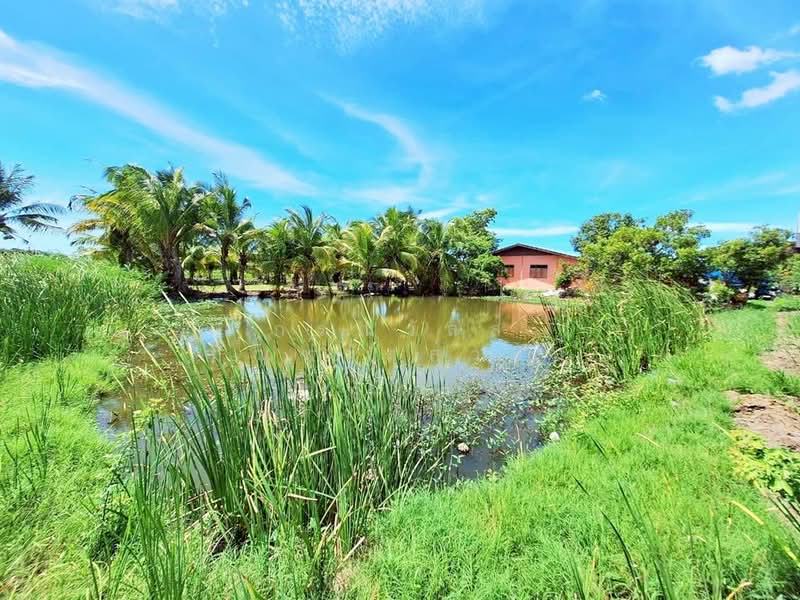 ขาย บ้านเดี่ยว 2 ไร่ 38 ตร.ว ไทรใหญ่, Nonthaburi, Sai Yai, Sai Noi, Nonthaburi, 3 Bedrooms, 1,000 sqm, Single Detached House For Sale, by กรณวัสส์ กัณฑวัสส์วงส์, 500407286 - DDproperty.com