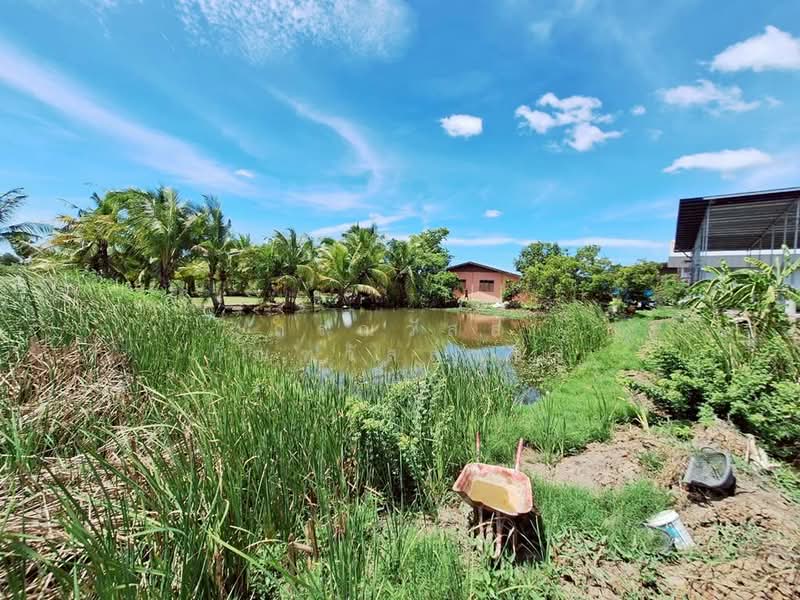 ขาย บ้านเดี่ยว 2 ไร่ 38 ตร.ว ไทรใหญ่, Nonthaburi, Sai Yai, Sai Noi, Nonthaburi, 3 Bedrooms, 1,000 sqm, Single Detached House For Sale, by กรณวัสส์ กัณฑวัสส์วงส์, 500407286 - DDproperty.com