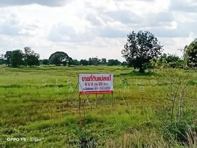 ขาย - ขายที่ดินชัยภูมิ ต่ำกว่าประเมิน 6-2-23 ไร่ ตำบลหนองบัวใหญ่ อำเภอจัตุรัส จังหวัดชัยภูมิ, ชัยภูมิ
