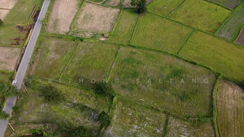 Land in Chaiyaphum 6-2-23 rai, Prime location in Nong Bua Yai, Chaturat, Chaiyaphum, 201, Nong Bua Yai, Chatturat, Chaiyaphum, , 10,492 sqm, Land For Sale, by Sirithong Saetang, 500407353 - DDproperty.com