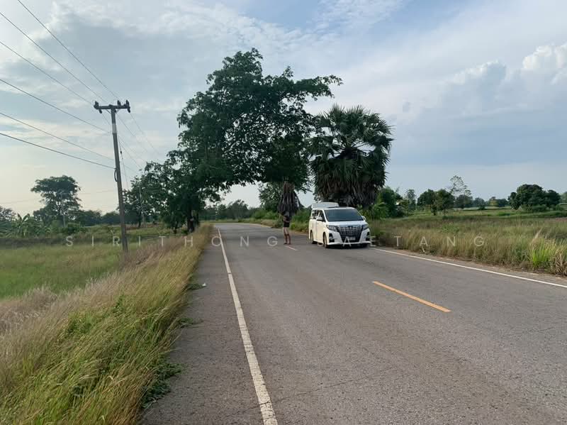 Land in Chaiyaphum 6-2-23 rai, Prime location in Nong Bua Yai, Chaturat, Chaiyaphum, 201, Nong Bua Yai, Chatturat, Chaiyaphum, , 10,492 sqm, Land For Sale, by Sirithong Saetang, 500407353 - DDproperty.com