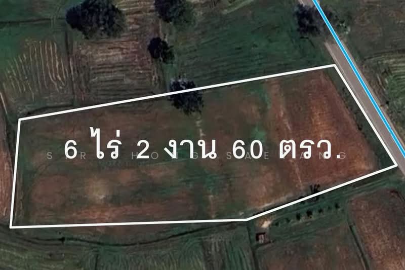 Land in Chaiyaphum 6-2-23 rai, Prime location in Nong Bua Yai, Chaturat, Chaiyaphum, 201, Nong Bua Yai, Chatturat, Chaiyaphum, , 10,492 sqm, Land For Sale, by Sirithong Saetang, 500407353 - DDproperty.com