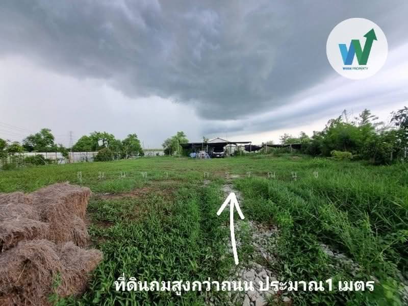Land filled in, Nong Chok, Bangkok, เลียบคลองสิบสามฝั่งตะวันออก 6, Khlong Sibsong, Nong Chok, Bangkok, , 1,848 sqm, Land For Sale, by สุมนทา กรรณนุช, 500407409 - DDproperty.com