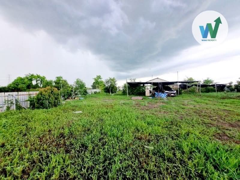 Land filled in, Nong Chok, Bangkok, เลียบคลองสิบสามฝั่งตะวันออก 6, Khlong Sibsong, Nong Chok, Bangkok, , 1,848 sqm, Land For Sale, by สุมนทา กรรณนุช, 500407409 - DDproperty.com