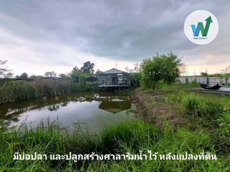 Land filled in, Nong Chok, Bangkok, เลียบคลองสิบสามฝั่งตะวันออก 6, Khlong Sibsong, Nong Chok, Bangkok, , 1,848 sqm, Land For Sale, by สุมนทา กรรณนุช, 500407409 - DDproperty.com