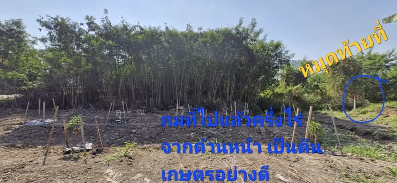 6 ล้าน ได้ที่ดิน 1 ไร่ ทำเลหางดง เชียงใหม่!, เชียงใหม่, บ้านแหวน, หางดง, เชียงใหม่, 1,600 ตร.ม., ที่ดิน ขาย, โดย คุณ วิญากร, 500407426 - DDproperty.com