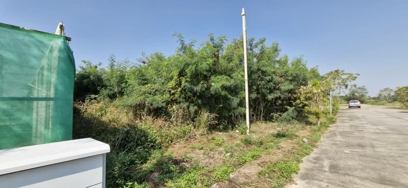 6 ล้าน ได้ที่ดิน 1 ไร่ ทำเลหางดง เชียงใหม่!, Chiang Mai, Ban Waen, Hang Dong, Chiang Mai, , 1,600 sqm, Land For Sale, by คุณ วิญากร, 500407426 - DDproperty.com