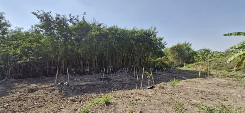 6 ล้าน ได้ที่ดิน 1 ไร่ ทำเลหางดง เชียงใหม่!, เชียงใหม่, บ้านแหวน, หางดง, เชียงใหม่, 1,600 ตร.ม., ที่ดิน ขาย, โดย คุณ วิญากร, 500407426 - DDproperty.com