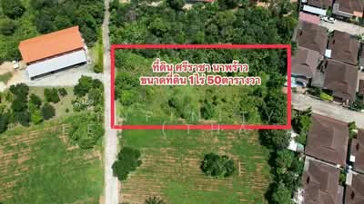ขาย - ศรีราชา, ชลบุรี
