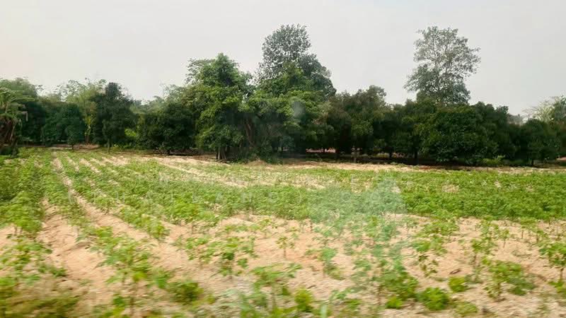 เขาคันทรง, Chon Buri (Pattaya), Khao Khan Song, Si Racha, Chon Buri (Pattaya), , 16,000 sqm, Land For Sale, by Infinity EEC (Thailand) Co., Ltd., 500407624 - DDproperty.com