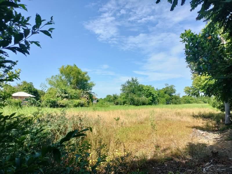 ที่ดินพรหมพิราม พิษณุโลก, Phitsanulok, Tha Chang, Phrom Phiram, Phitsanulok, , 8,891 sqm, Land For Sale, by The Best Property ณิชา, 500407885 - DDproperty.com
