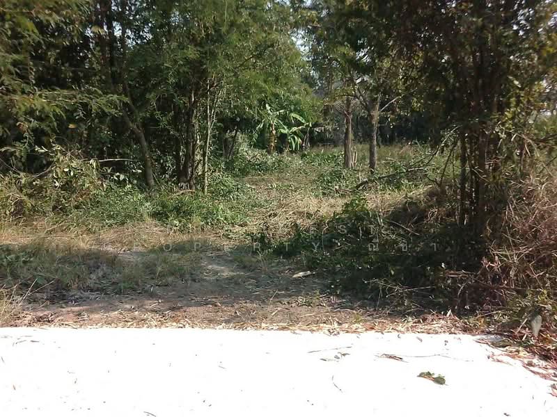 ที่ดินพรหมพิราม พิษณุโลก, Phitsanulok, Tha Chang, Phrom Phiram, Phitsanulok, , 8,891 sqm, Land For Sale, by The Best Property ณิชา, 500407885 - DDproperty.com