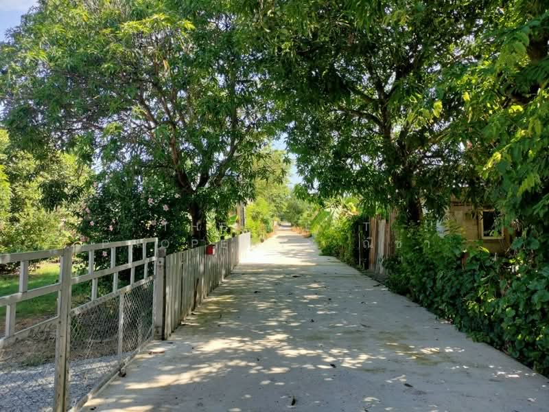 ที่ดินพรหมพิราม พิษณุโลก, พิษณุโลก, ท่าช้าง, พรหมพิราม, พิษณุโลก, 8,891 ตร.ม., ที่ดิน ขาย, โดย The Best Property ณิชา, 500407885 - DDproperty.com