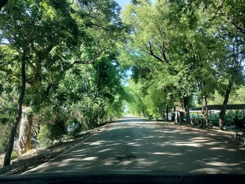 ที่ดินพรหมพิราม พิษณุโลก, Phitsanulok, Tha Chang, Phrom Phiram, Phitsanulok, , 8,891 sqm, Land For Sale, by The Best Property ณิชา, 500407885 - DDproperty.com